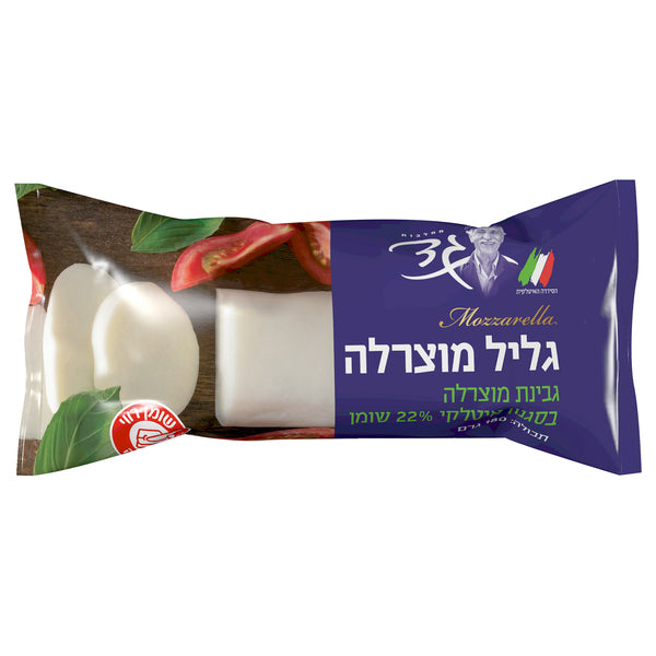גד גבינת מוצרלה בסגנון איטלקי 22%