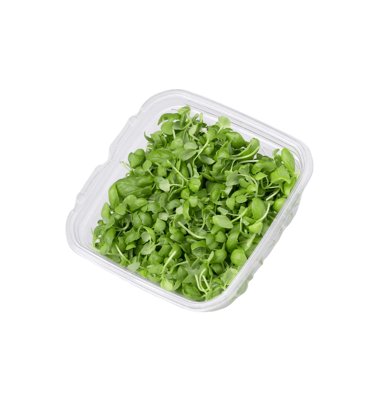 עלעלים שונים