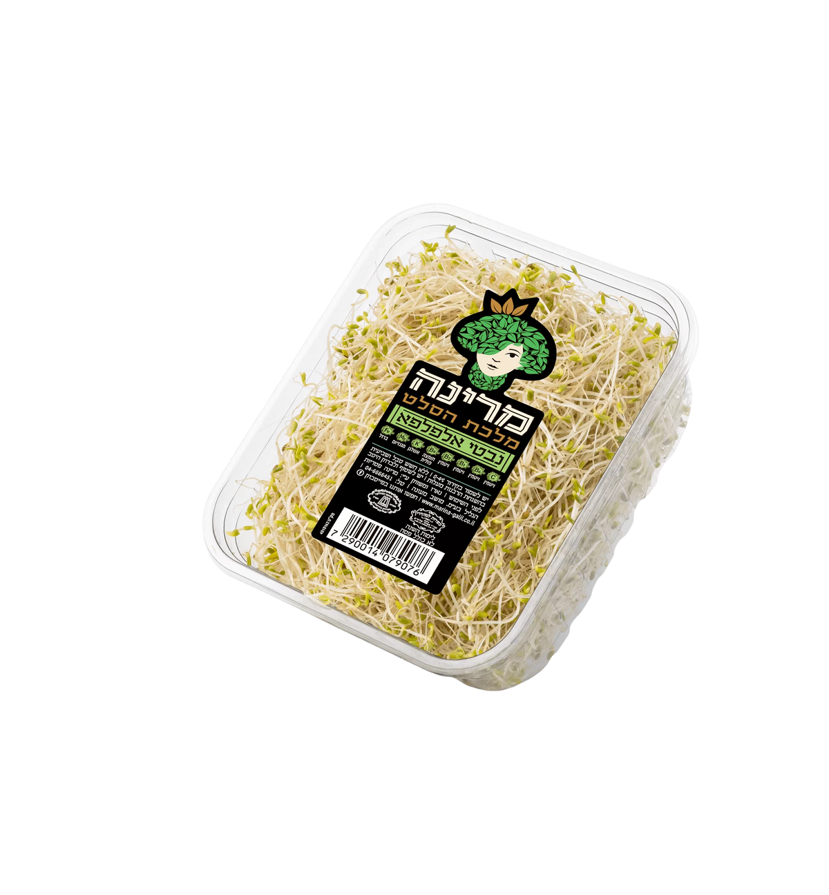 מרינה נבטי אלפלפא