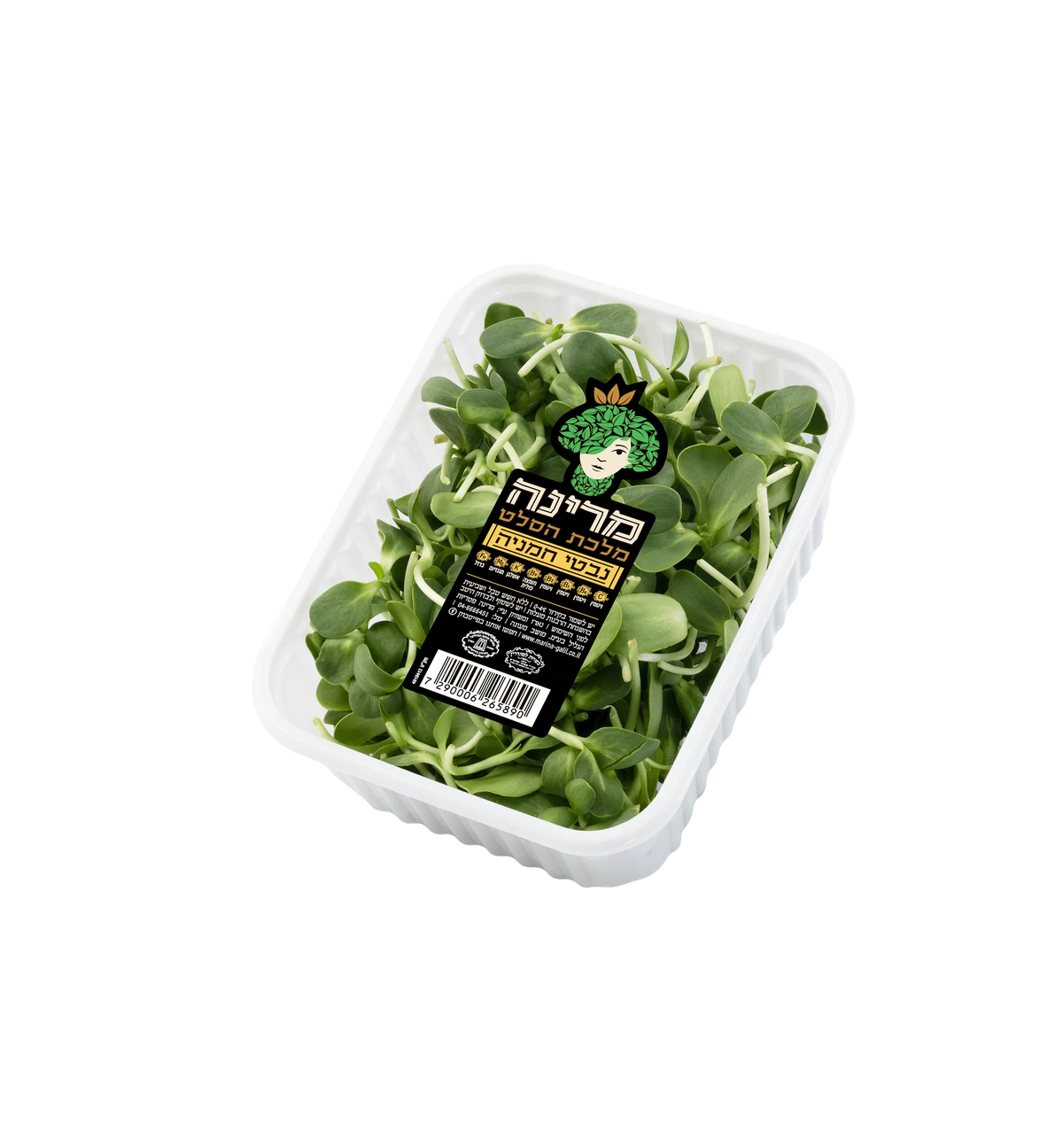 מרינה נבטי חמניה