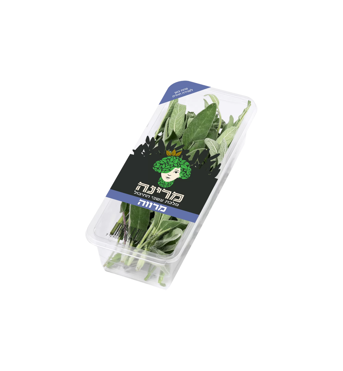 מרינה מרווה