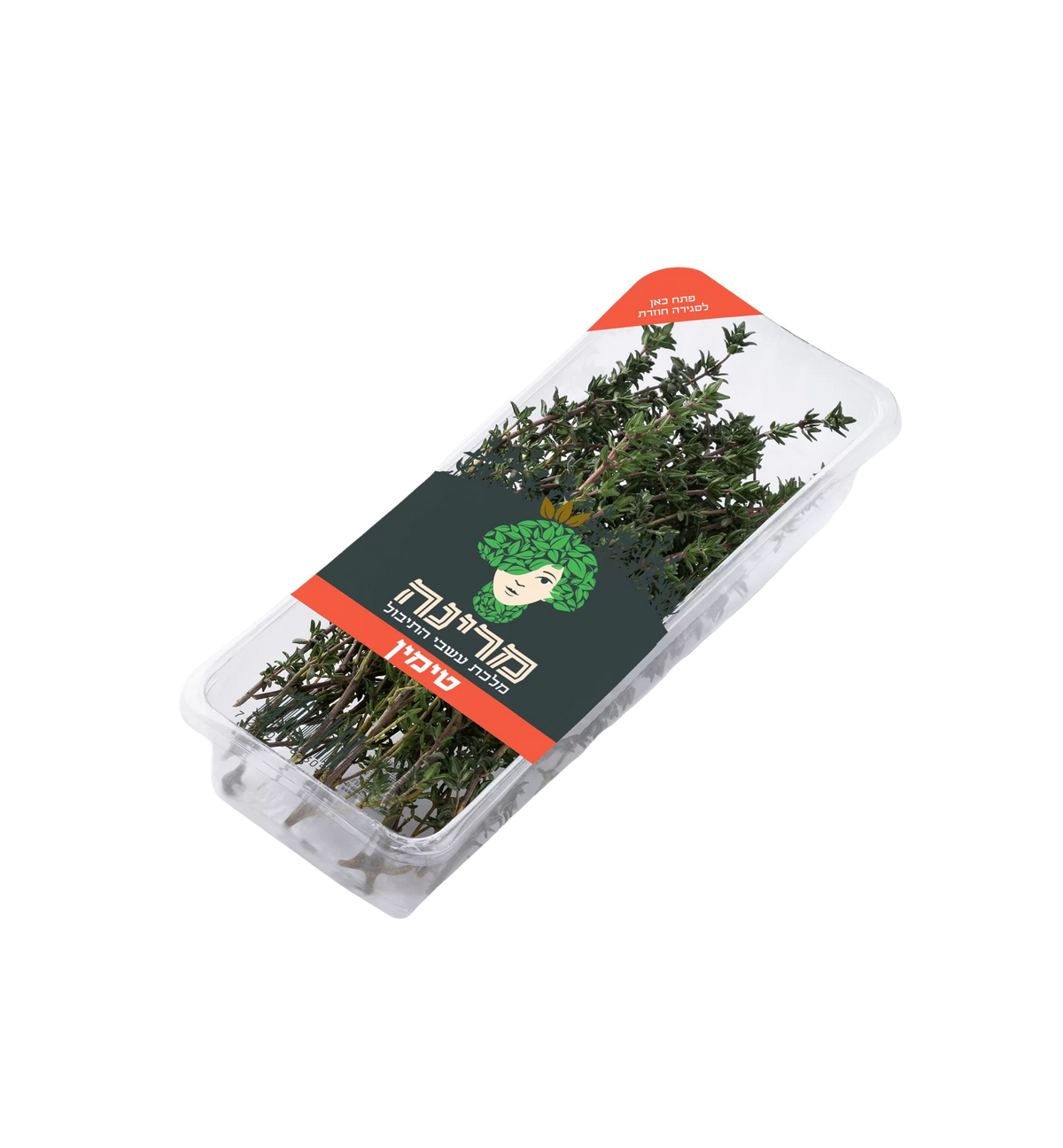 מרינה טימין- קורנית