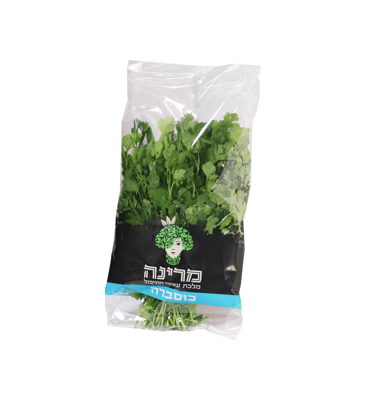 מרינה כוסברה