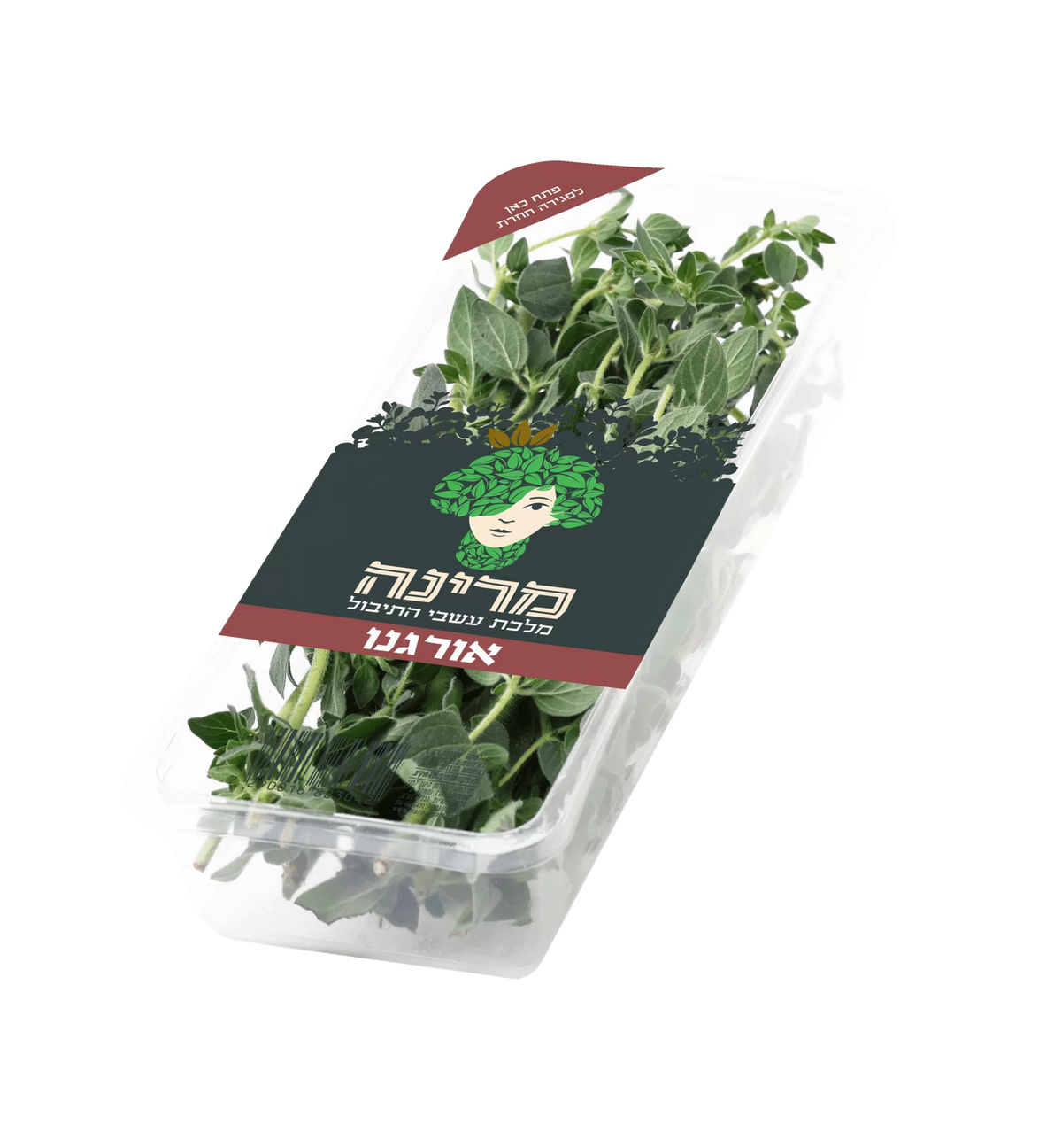 מרינה אורגנו