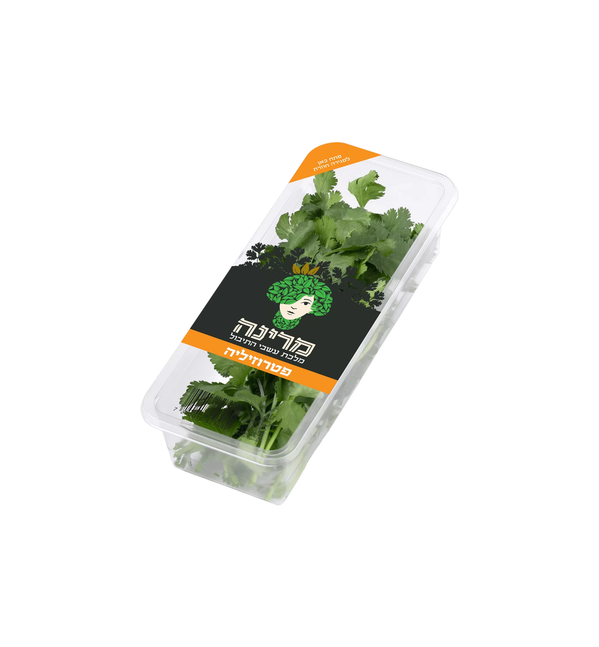 מרינה פטרוזיליה