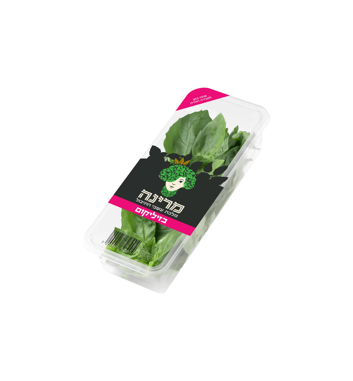 מרינה בזיליקום