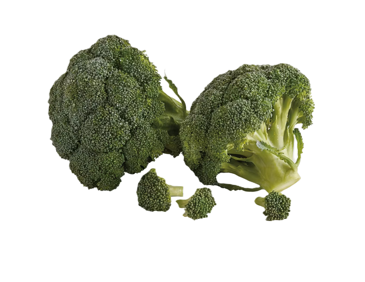 ברוקולי טרי