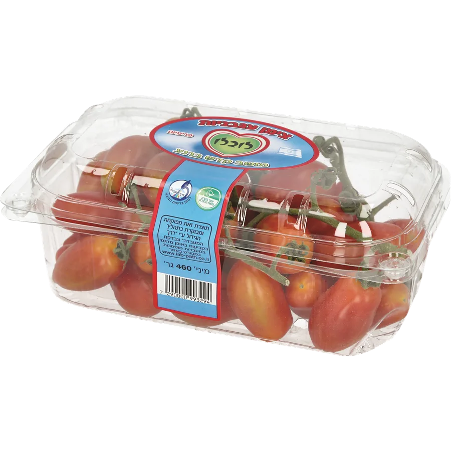 עגבניות שרי