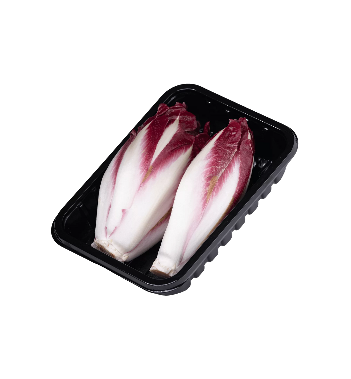 מרינה אנדיב בלגי