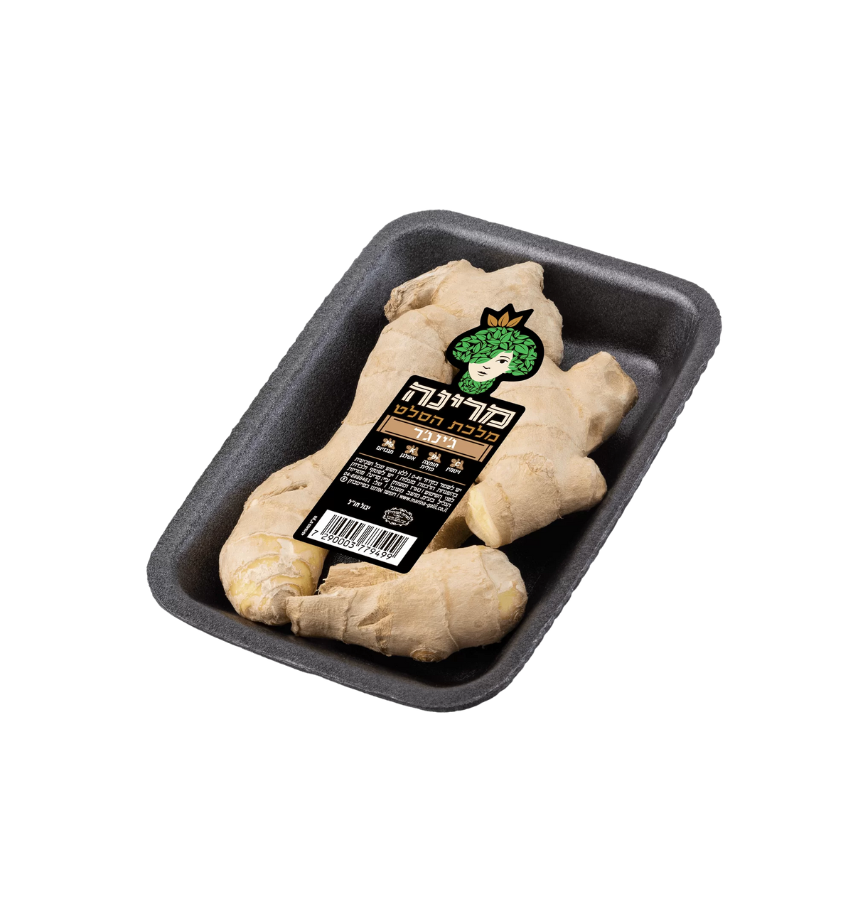 מרינה שורש ג'ינג'ר טרי-זנגביל