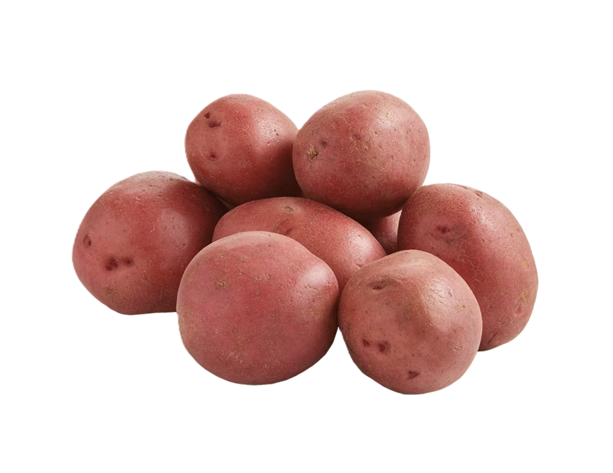 תפו"א אדום מובחר