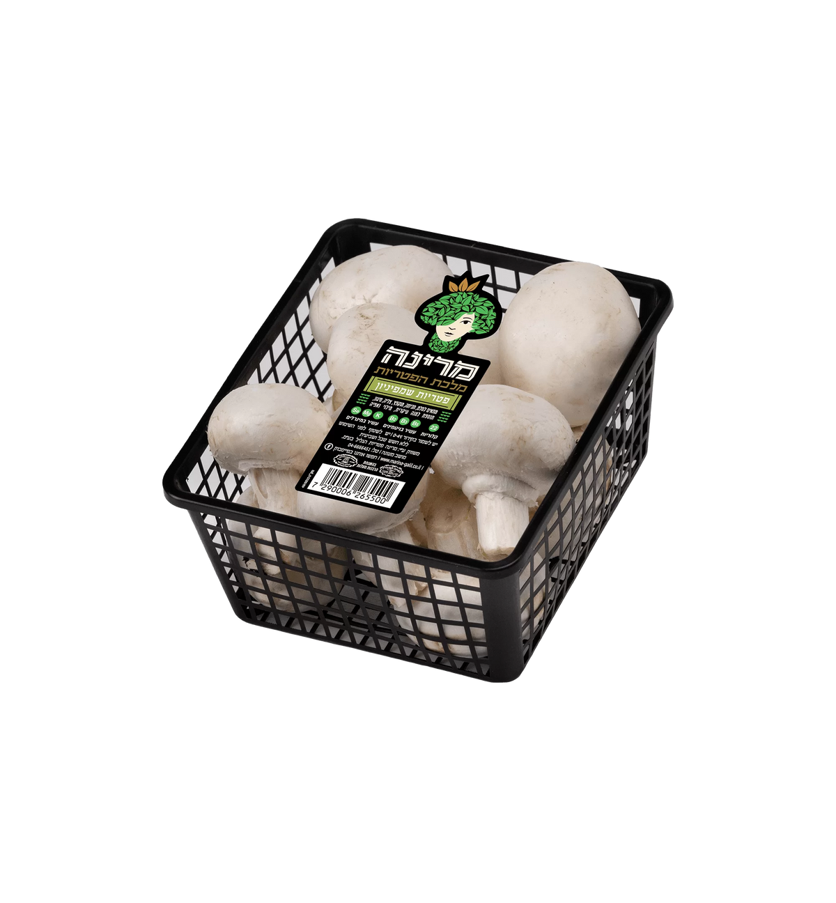 מרינה פטריות שמפניון