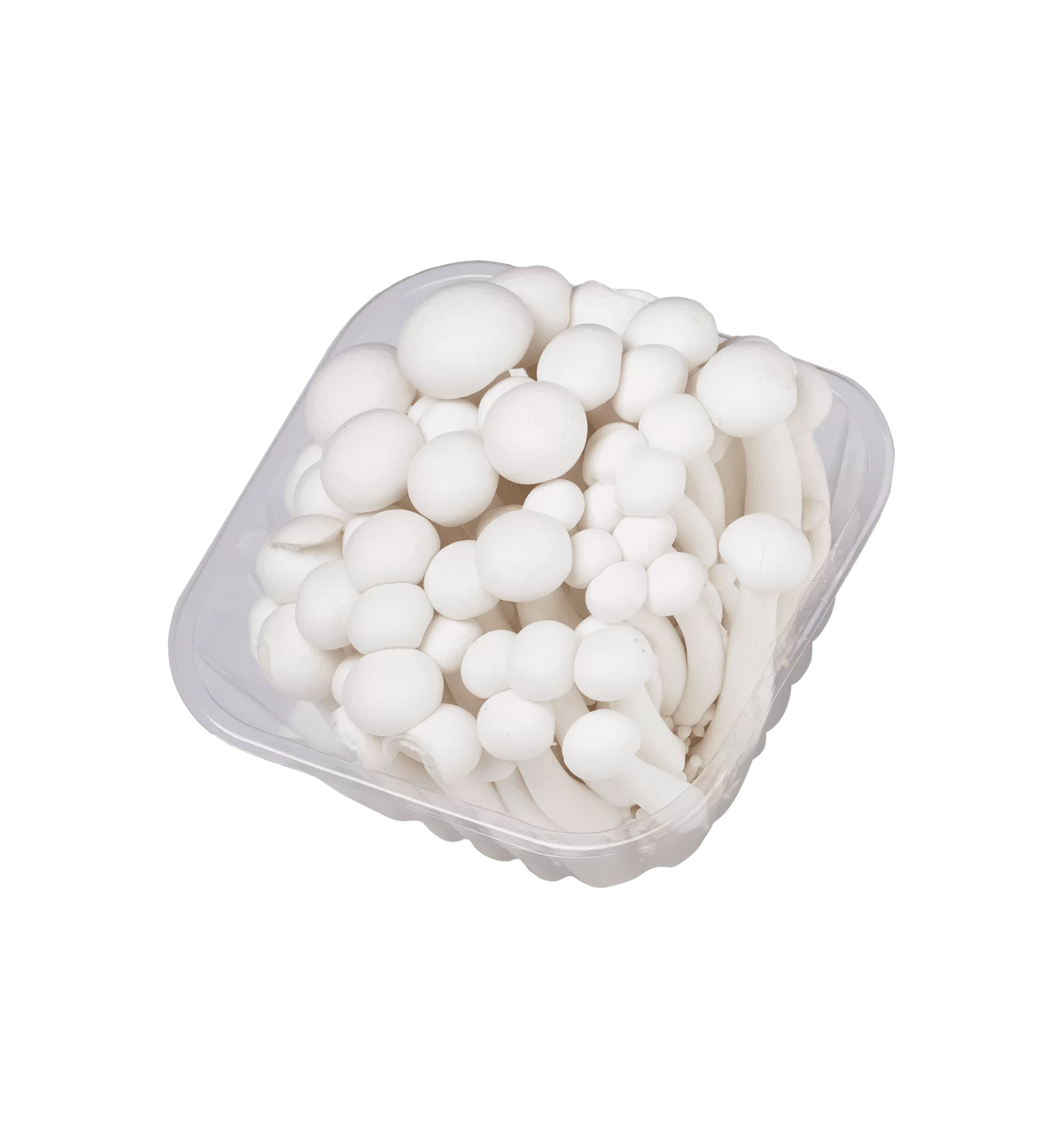 יחידות 2 -פטריות שימג'י לבנות