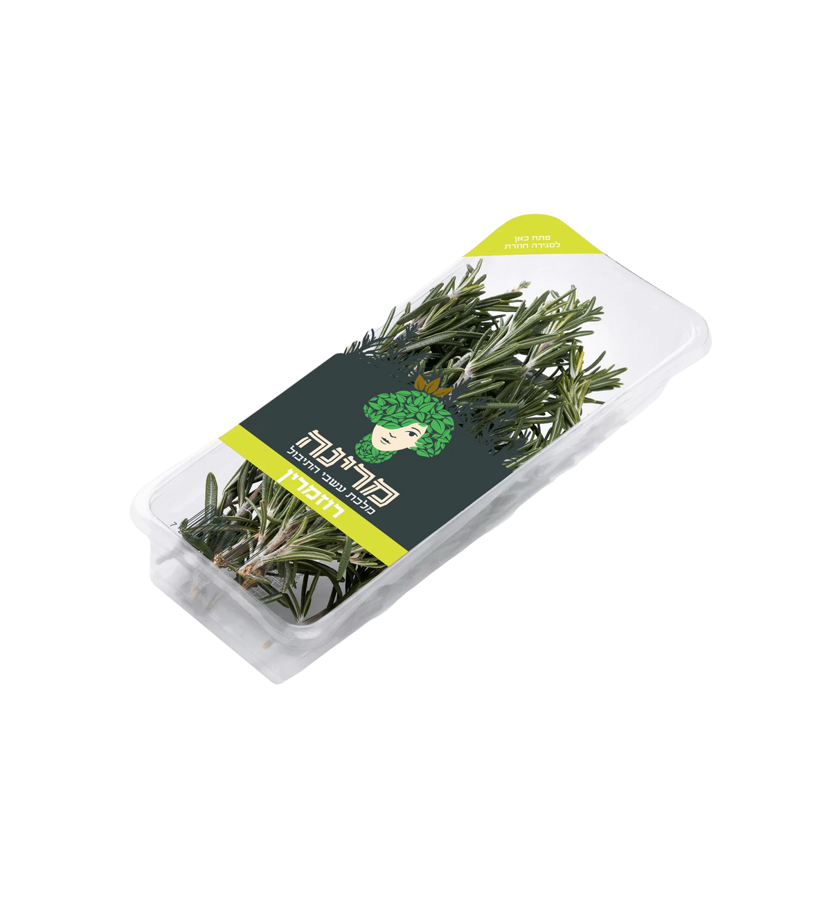 רוזמרין