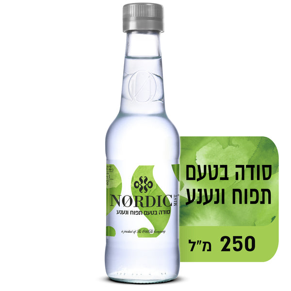 סודה בטעם תפוח נענע 250 מ"ל