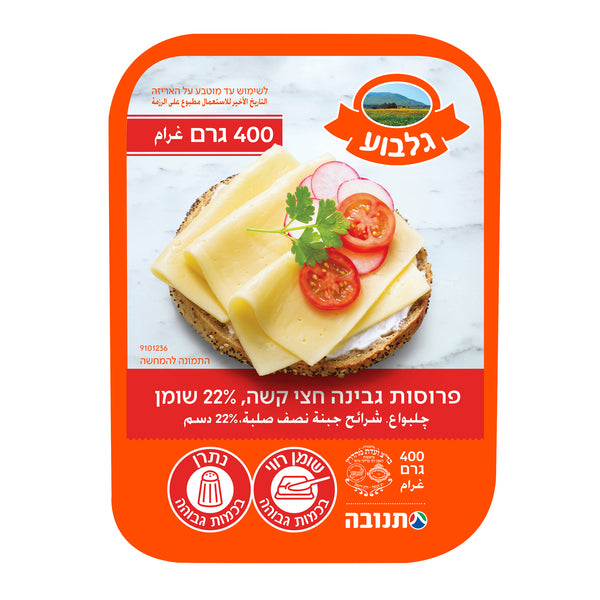 גלבוע גבינה צהובה 22%
