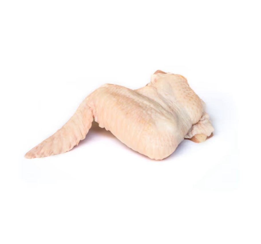 כנפיים הודו טרי