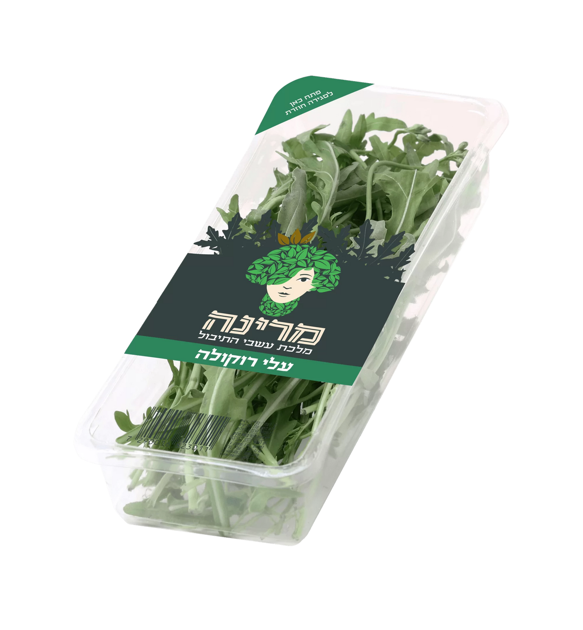 רוקולה