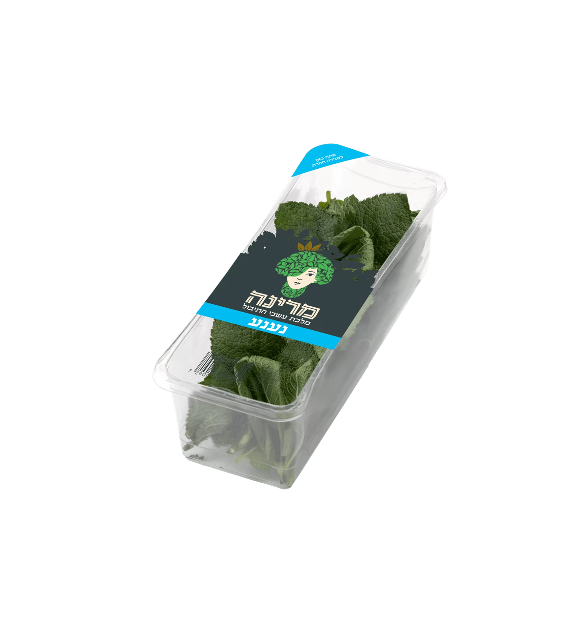 נענע
