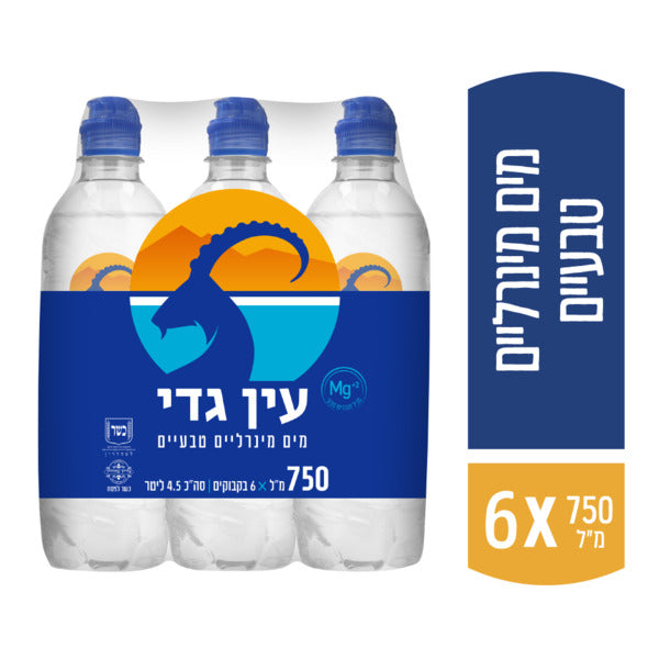 מים מינרליים עין גדי 750 מ"ל פקק ספורט (6)