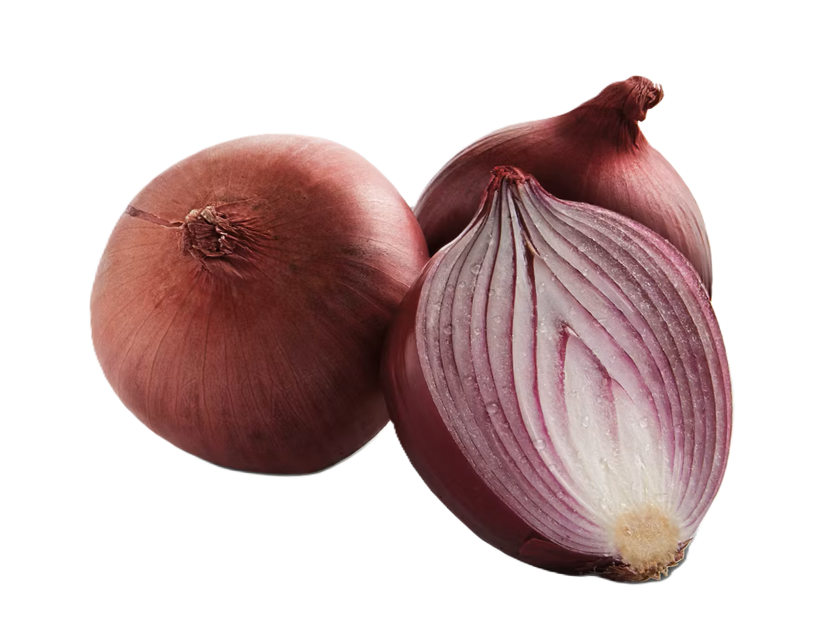 בצל  סגול