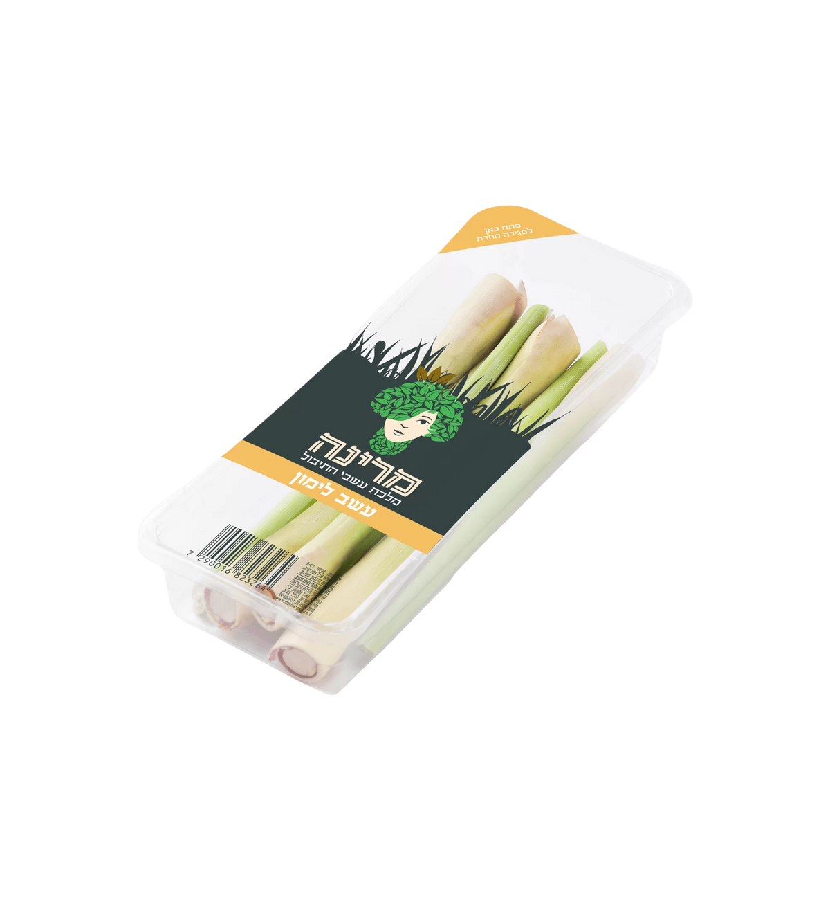 עשב לימון