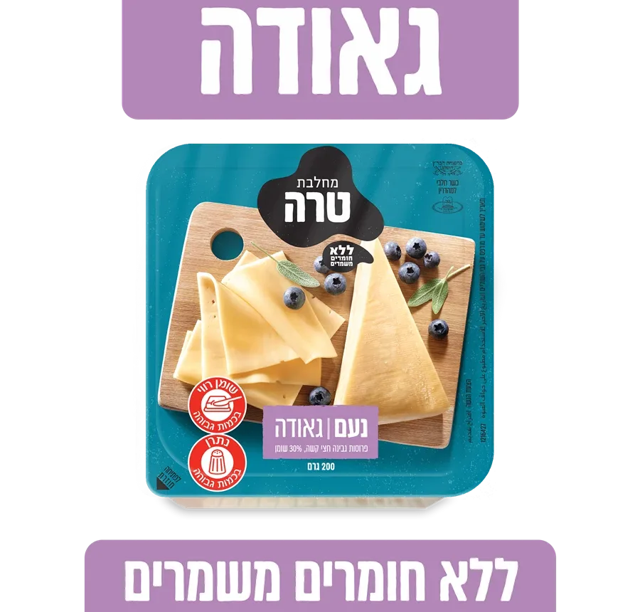 Noam Gouda Cheese, 30%