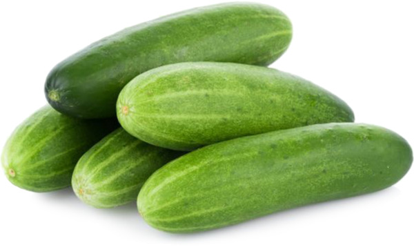מלפפונים מובחרים