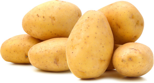 תפוח אדמה פרמיום