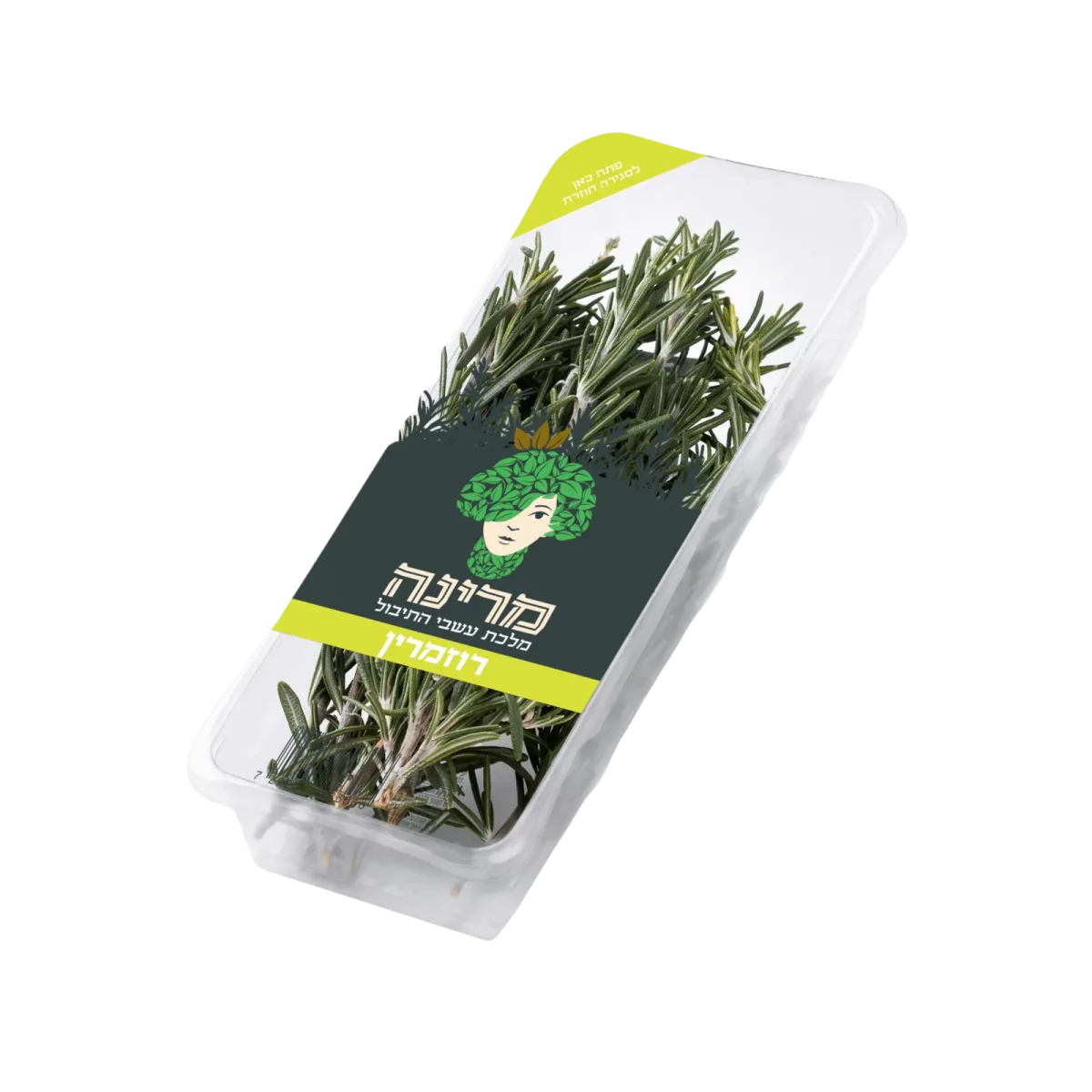 מארז רוזמרין