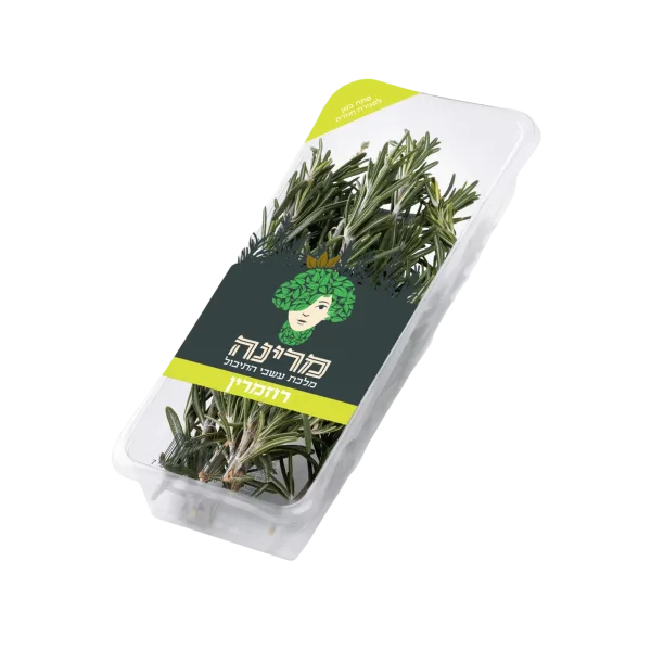 מארז רוזמרין