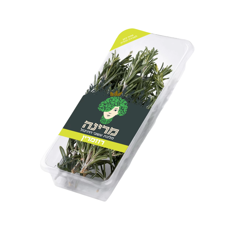 מארז רוזמרין