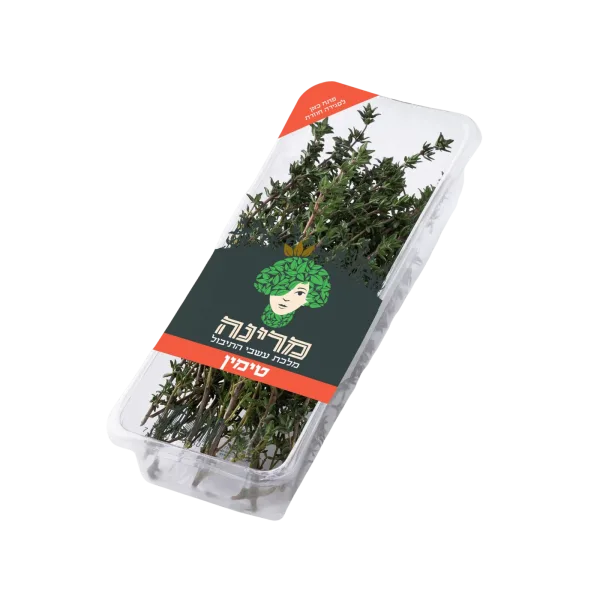 מארז טימין- קורנית