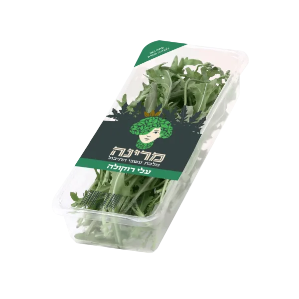 מארז רוקולה