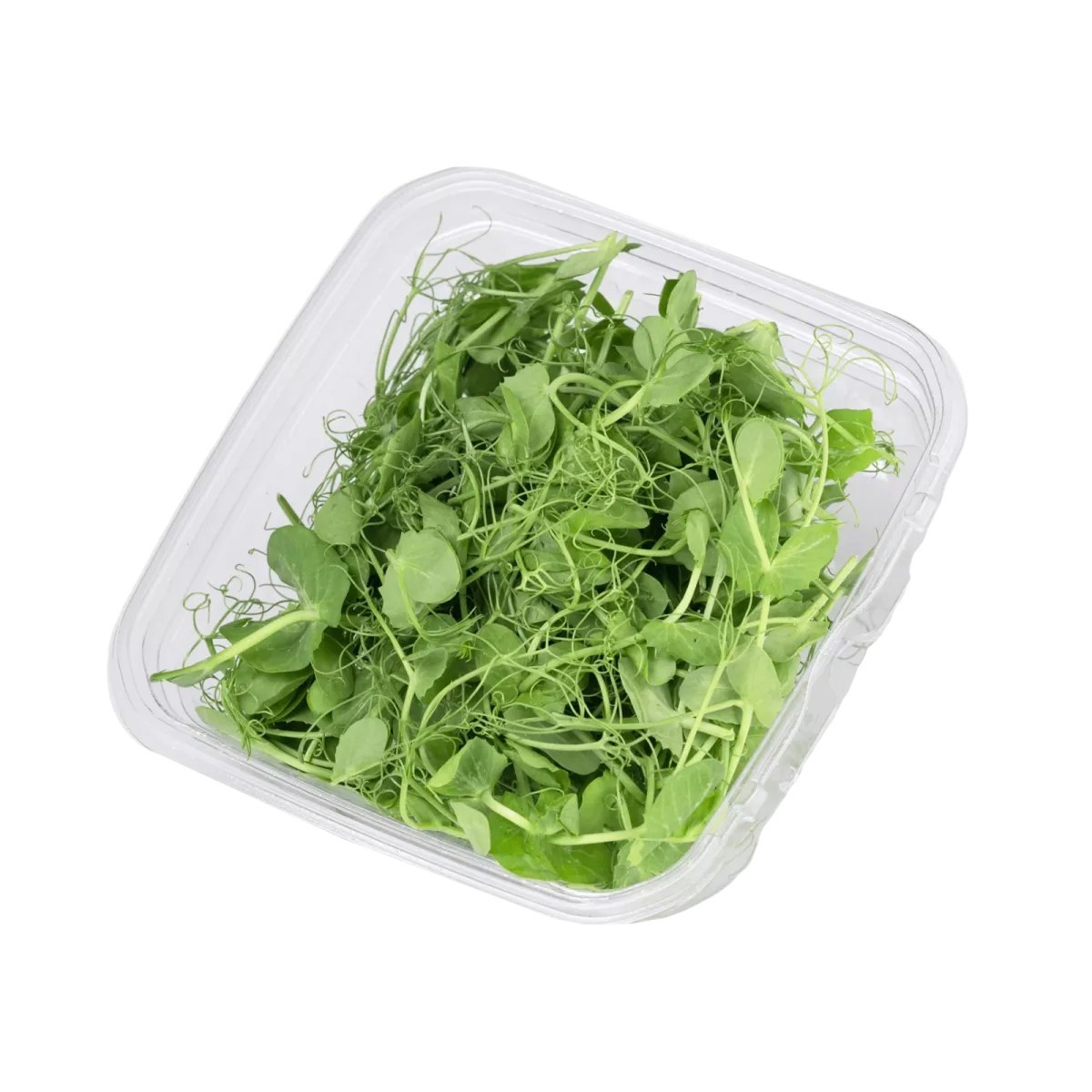 Pea Sprouts, Pack