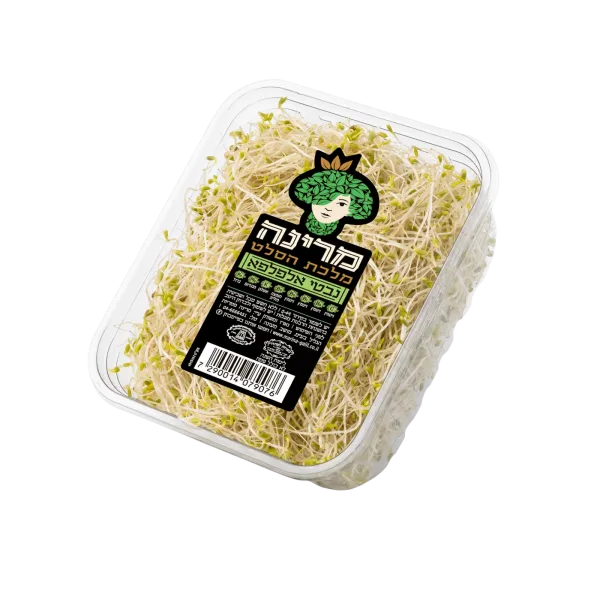 מארז נבטי אלפלפא