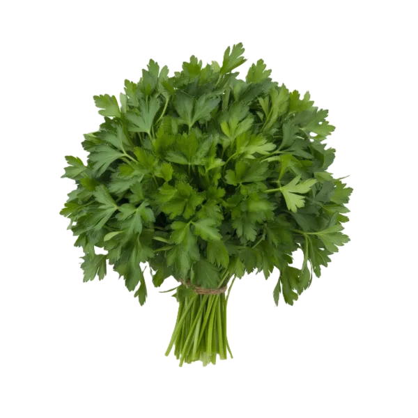 פטרוזיליה