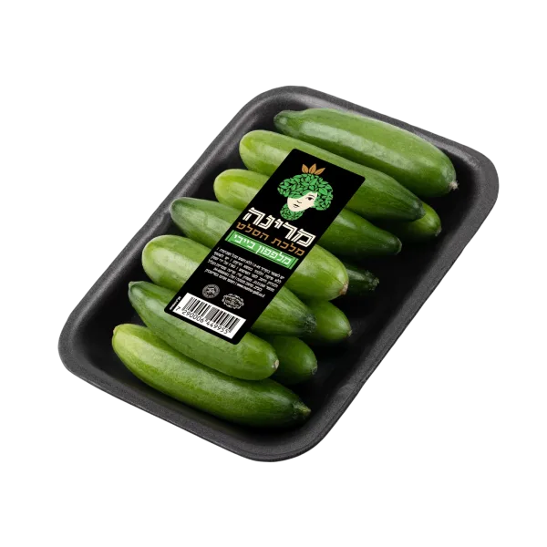 מארז מלפפוני בייבי