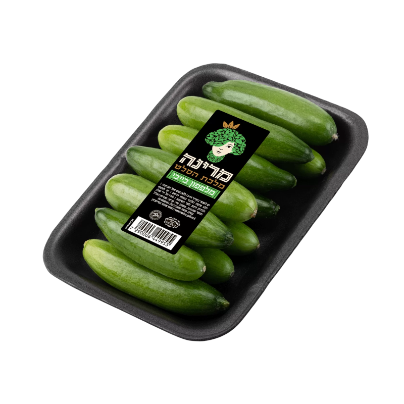 מארז מלפפוני בייבי