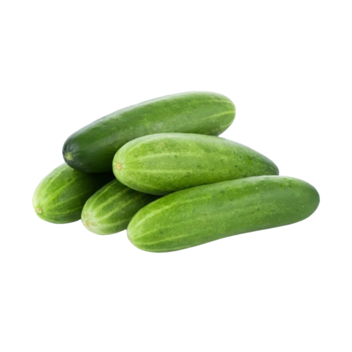 מלפפונים מובחרים