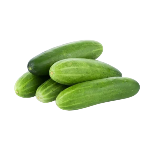 מלפפונים מובחרים