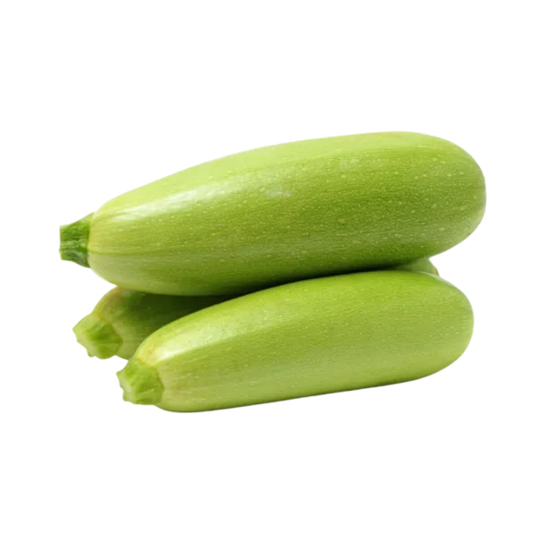 קישואים