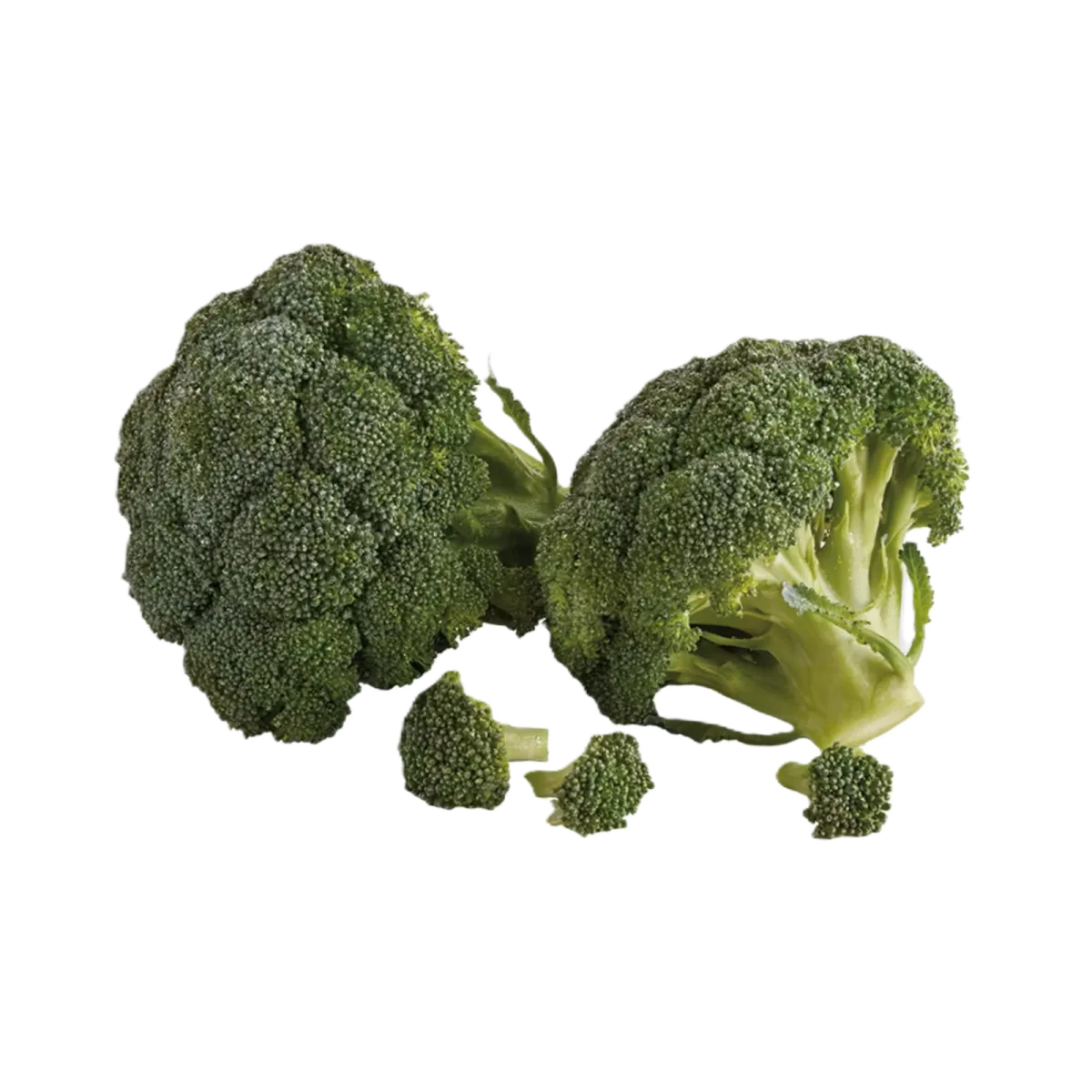 Fresh Broccoli