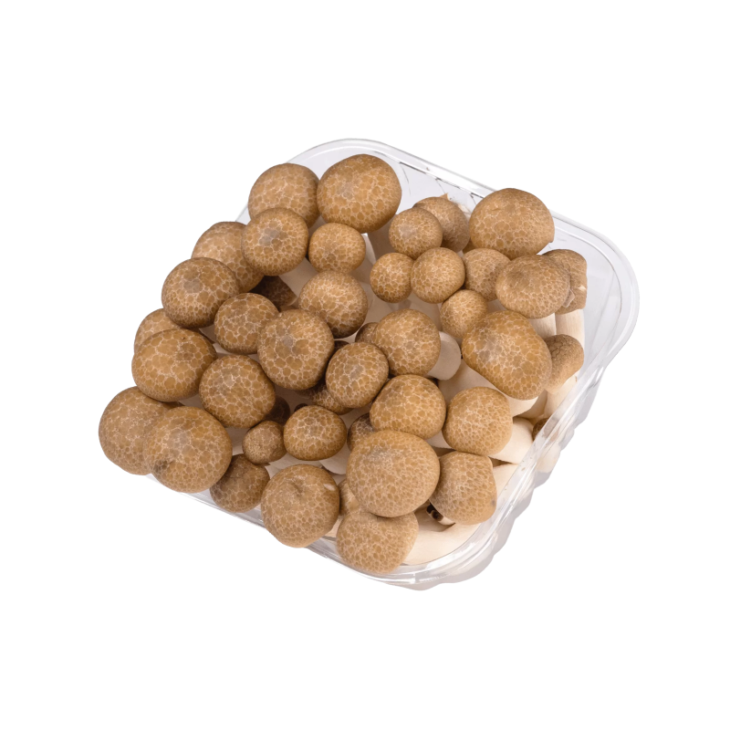 יחידות 2 - פטריות שימג'י חומות
