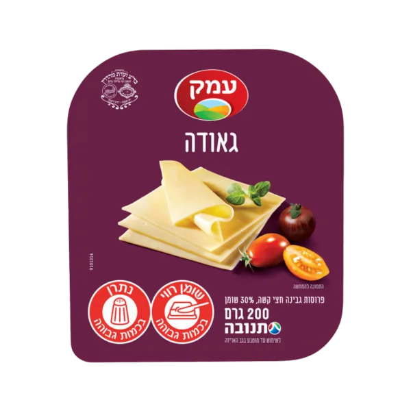 עמק | פרוסות גאודה