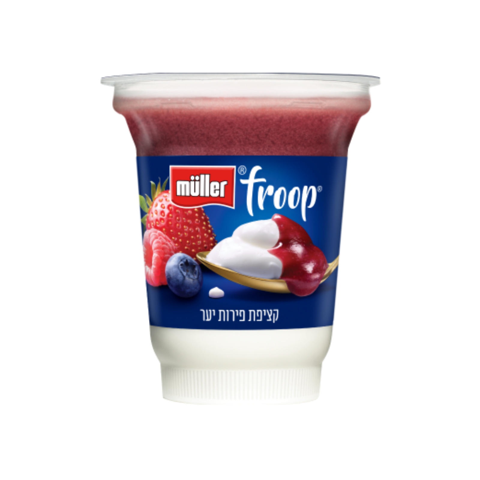 מולר Froop יוגורט עם קציפת פירות יער