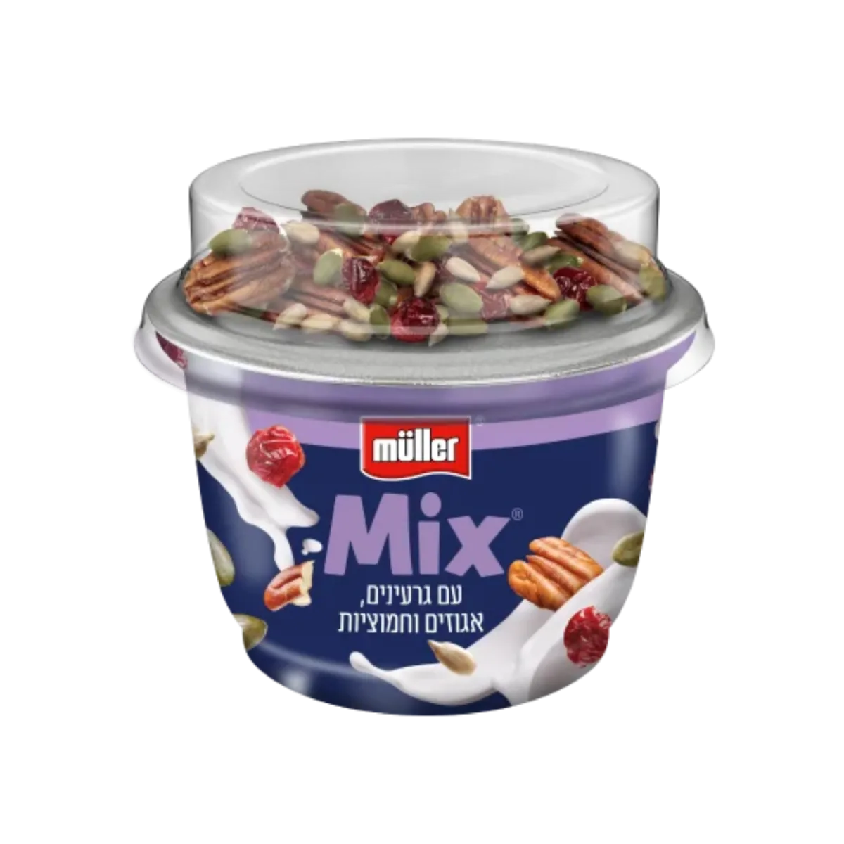 Yogurt Mix with Seeds, Nuts & Cranberries