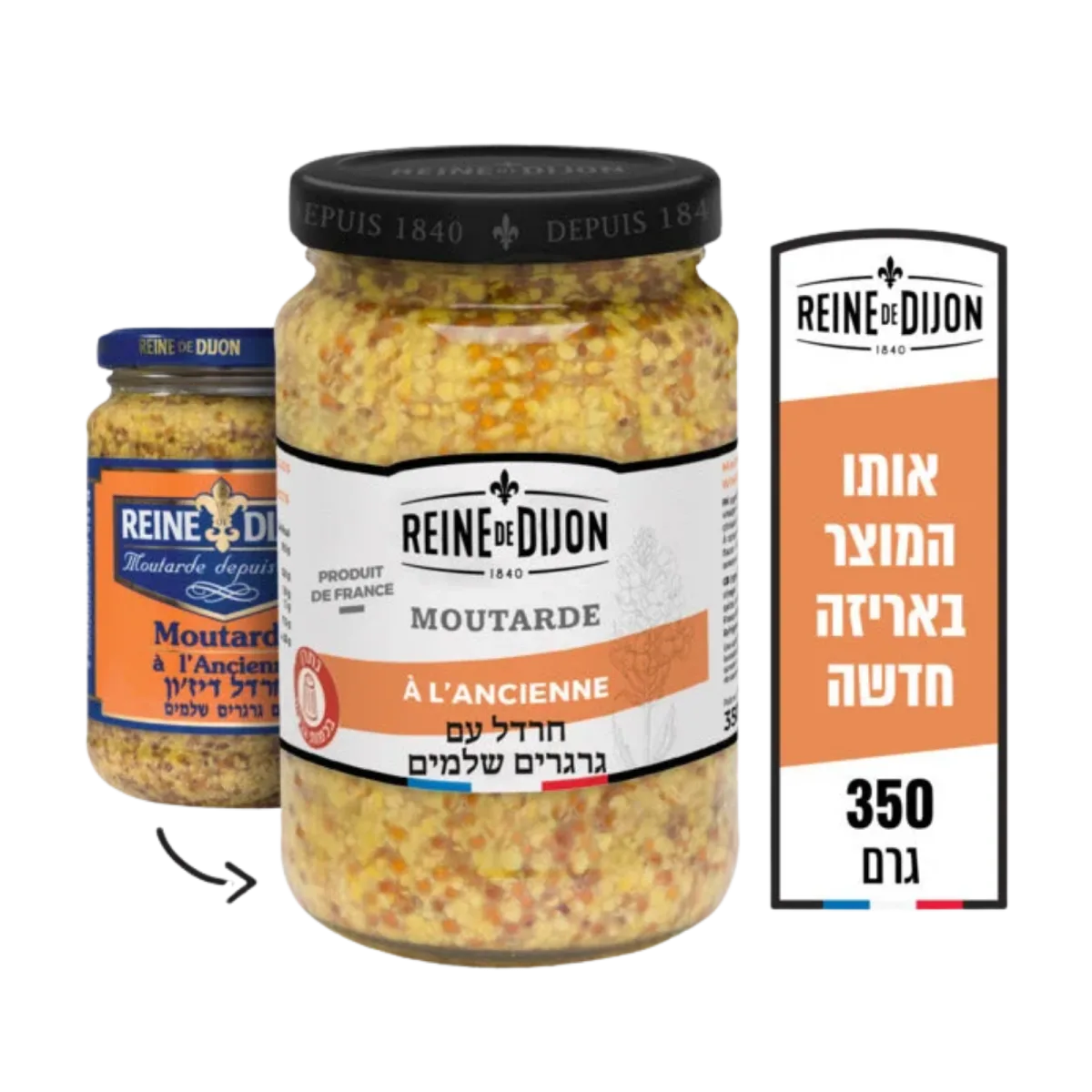 ריין דיז’ון | חרדל דיז’ון עם גרגרים שלמים