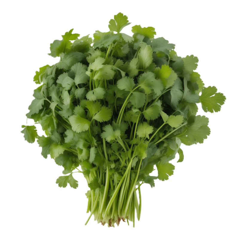 חסות עלים ונבטים