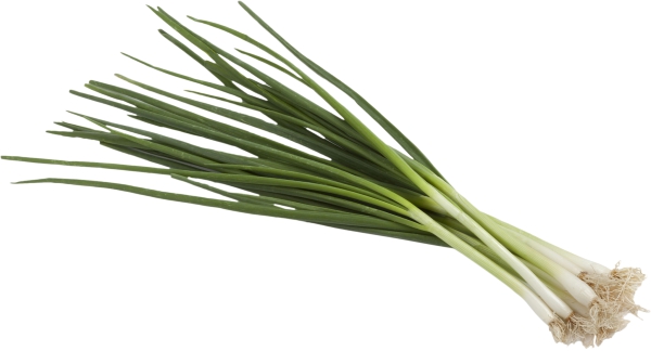 בצל ירוק מארז